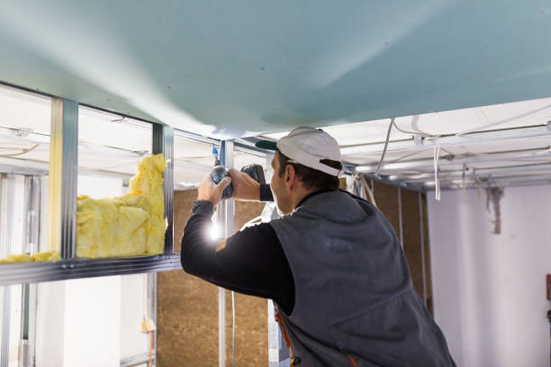 Best DIY Insulation Kits and Guidance in Wilmington, DE
