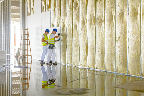 Best Cellulose Insulation in Wilmington, DE